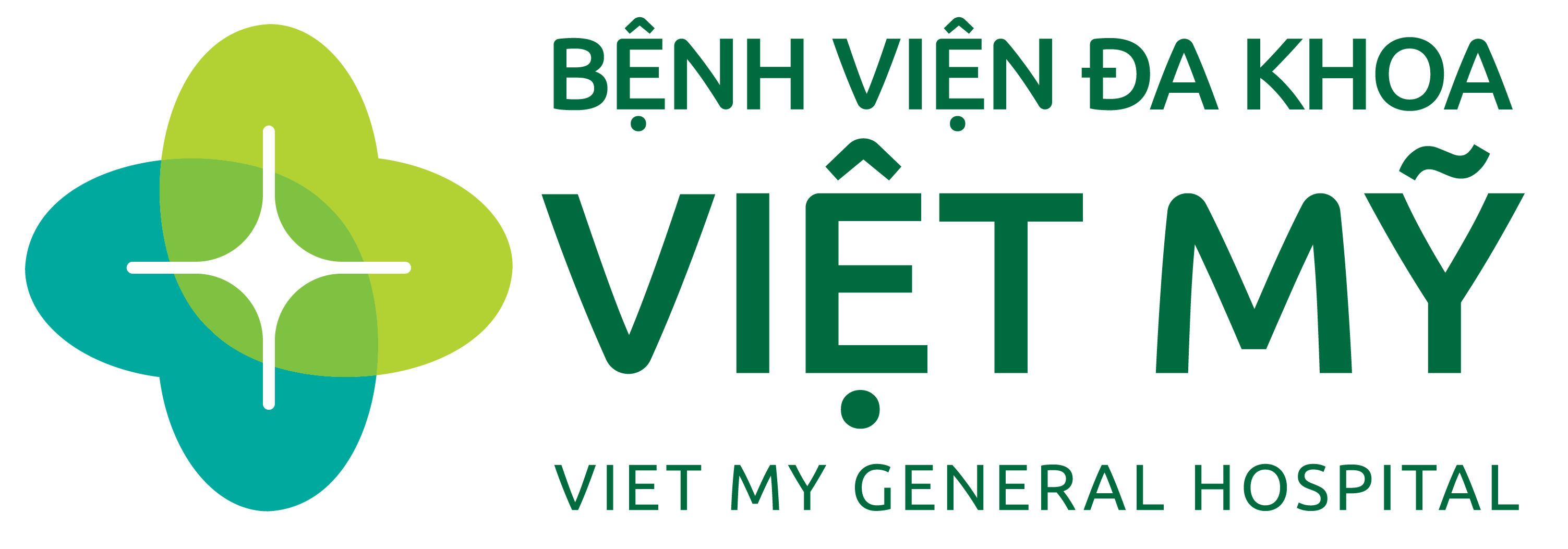Bệnh viện Việt Mỹ